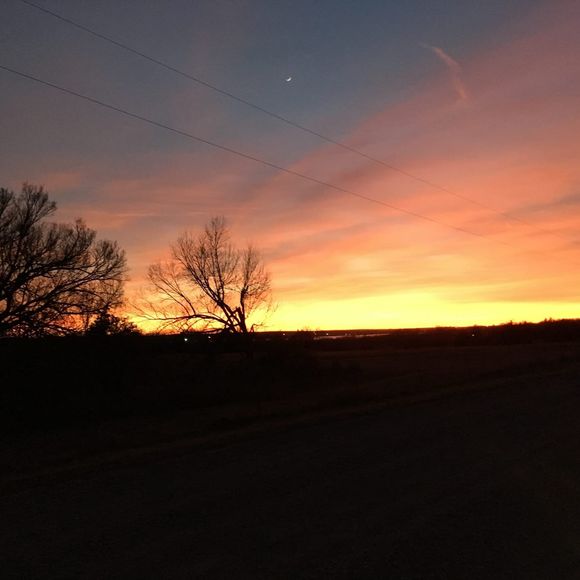 Meet your Posher, David - Picture 1 of 1